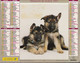 Calendrier De La Poste, Almanach Du Facteur: 2001, MEURTHE Et MOSELLE: West Highland Terriers, Bergers A  , Ed. Oberthur - Grand Format : 2001-...