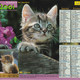 Almanach Du Facteur, Calendrier De La Poste, 2001, Côte D'Or, CHATONS ... - Grand Format : 2001-...