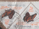 Delcampe - Errors Romania 1960 # Mi 1919  Color Printing Out Butterfly Wings  Used - Plaatfouten En Curiosa