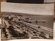 Cartolina Civitavecchia Passeggiata A Mare 1953 - Civitavecchia