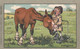 Artist Image GE Shepheard 'Rather Hard Of Hearing' Horse Man Humor, C1910s Vintage Postcard - Shepheard