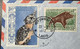 CROIX ROUGE SUISSE LUANG PRABANG LAOS 1972 Lettre > ELLG (cover Rotary Pig Wild Boar Animals Mammifère Philatelie - Laos