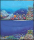 Israel 2022, Scuba Diving Sites In Israel, A Set Of 4 Stamps With Tabs On 2 FDC's - Buceo