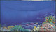 Delcampe - Israel 2022, Scuba Diving Sites In Israel, A Set Of 4 Stamps With Tabs On 2 FDC's - Diving