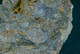 Fossil - Spirifer Brachiopodi - Lot. 846F - Fossils