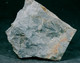 Delcampe - Fossil - Annularia Stellata Lagifoglia - Lot. 845F - Fossilien