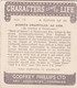 Characters Come To Life 1938 - 15 Bonitta Granville "Maid Of Salem" - Phillips Cigarette Card - Original - Phillips / BDV