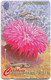 Montserrat - C&W (GPT) - Flowers Of The Sea, Sea Rose - 10CMTA - 1995, 10$, 5.000ex, Used - Montserrat