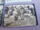 Joli Lot Petites Photos + Contact Cartes Postales 1929 Chatelaillon Plage 17 Charente Maritime - Plaatsen