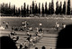 Athlétisme * 3 Photos Anciennes * Course De Haies * Concours Sport - Athlétisme