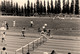 Athlétisme * 3 Photos Anciennes * Course De Haies * Concours Sport - Athlétisme