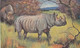 Rhinoceros Artist Image C1900s/10s Vintage Tuck's Series #3000 Wild Animals Postcard - Rhinozeros