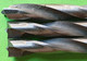 Lot 3 Anciens OUTILS Spécial - MÈCHE , FORET à Bois - STEELRAY - Diamètre 6 Mm - Acier - " Neuf De Stock " - Vers 1980 - Andere Geräte