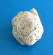Delcampe - Pumice Stone From Black Beach Of Santorini Thera Island Greece, 19 G - Minéraux