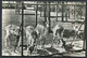 Alphen Aan Den Rijn  - Hertenkamp   -  Used  10-7-1948 - Scans For Condition (Originalscan !!) - Alphen A/d Rijn