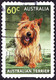 AUSTRALIA 2013 60c Multicoloured, Top Dog-Australian Terrier Self Adhesive FU - Used Stamps