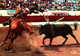 Une Paire De Banderilles De PERALTA  (Cheval Taureau Picador ) (recto-verso)  CORRIDA ,Toros, Taureaux Toréador - Corrida