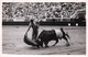 Torero  MANUEL ALVAREZ ( Andaluz)  Pase En Rond   (Taureau  ) (recto-verso)  CORRIDA ,Toros, Taureaux Toréador - Stierkampf