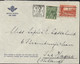 Enveloppe Royal Dutch Air Lines Cachet Sydney N.S.W 6 NOV 1934 Posted Oversea Box Flamme Use Australian Products - Brieven En Documenten