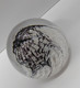 Delcampe - *ANCIENNE SULFURE PRESSE PAPIER Made In IRELAND JERPOINT GLASS PAPERWEIGHT   E - Presse-papiers