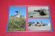 United Arab Emirates U.A.E. Fujairah 1993 - Verenigde Arabische Emiraten