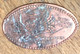 ÉTATS-UNIS USA SOUTH CAROLINA AQUARIUMS CRAS PIÈCE ÉCRASÉE PENNY ELONGATED COIN MEDAILLE TOURISTIQUE MEDALS TOKENS - Monete Allungate (penny Souvenirs)