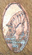 ÉTATS-UNIS USA RIVERBANKS ZOO ZEBRE PIÈCE ÉCRASÉE PENNY ELONGATED COIN MEDAILLE TOURISTIQUE MEDALS TOKENS - Monete Allungate (penny Souvenirs)