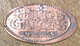 ÉTATS-UNIS USA BUSCH GARDENWILLIAMSBURG VA PIÈCE ÉCRASÉE PENNY ELONGATED COIN MEDAILLE TOURISTIQUE MEDALS TOKENS - Souvenirmunten (elongated Coins)