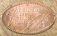 ÉTATS-UNIS USA CHESAPEAKE BAY  BRIDGE-TUNNEL PIÈCE ÉCRASÉE PENNY ELONGATED COIN MEDAILLE TOURISTIQUE MEDALS TOKENS - Souvenirmunten (elongated Coins)