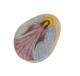 ANGEL Hand Painted On A Smooth Beach Rock Paperweight - Pisapapeles