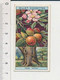 Crab Apple Pommier Pommes Fruit Pomme Flowering Trees & Shrubs Arbres Et Arbustes à Fleurs Arbre Tree 88/4 - Wills