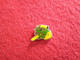 Pin S Pin's SPORT PLONGÉE HOMME GRENOUILLE  PLONGEUR (bazarcollect28) - Diving