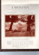 Calendrier De L'helvetia-incendie Photos De Lac Suisse - Grand Format : 1921-40