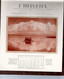 Calendrier De L'helvetia-incendie Photos De Lac Suisse - Grand Format : 1921-40