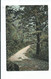 Devon Postcard Clovelly Unusual Card Locally Produced  Woth Small Steel Cds For Clovelly 1906 - Clovelly