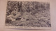 Congo Belge - Carte Postale Leopard  - Entier Postaux - Oblit Likasi - Exp Vers Macon France - Andere & Zonder Classificatie