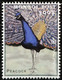 WITHDRAWN ISSUE Peacock From Charles Darwin Exploration, Nature, Millennium 2000 Mongolia MNH READ Description - Pavoni