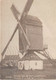 E193 Geel De Molen Van Den Doelen - Molen - Moulin - Mill - Mühle - Geel