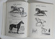 Delcampe - I106797 V - MOSEMANS' ILLUSTRATED CATALOG OF HORSE FURNISHING GOOD - Dover - Arte, Antiquariato