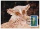 TANZANIE - 4 Cartes Maximum - Série "Galago" (Primates) - 24 Janvier 1989 - Dar Es Salam - Tansania (1964-...)