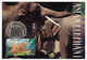 AUSTRALIE - 5 Cartes Maxi. Espèces Des Zoos Australiens - 20 Sept 1994 - Parkville - Cartes-Maximum (CM)