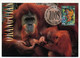Delcampe - AUSTRALIE - 5 Cartes Maxi. Espèces Des Zoos Australiens - 20 Sept 1994 - Parkville - Maximum Cards