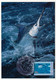AUSTRALIE - 6 Cartes Maxi. Faune Marine - 3 Octobre 1995 - Townsville - Cartas Máxima