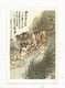 CARTE POSTALE , Entier Postal , 4, CHINE , BEIJING 2 , 2 Scans , Félidés , Animaux , 1985 - Cartes Postales