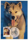 ANTARCTIQUE AUSTRALIEN - 4 Cartes Maximum CHIENS DE TRAINEAU - Kingston Tas - 13 Janvier 1994 - Maximumkarten