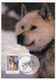 ANTARCTIQUE AUSTRALIEN - 4 Cartes Maximum CHIENS DE TRAINEAU - Kingston Tas - 13 Janvier 1994 - Maximumkarten