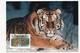 RUSSIE - 4 Cartes Maximum TIGRES DE SIBERIE - 26/11/1993 - Moscou - Cartes Maximum