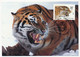 RUSSIE - 4 Cartes Maximum TIGRES DE SIBERIE - 26/11/1993 - Moscou - Cartoline Maximum