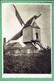 Foto Molen Druyts Zevendonk Bij Turnhout - Afgebroken 1930 - Turnhout