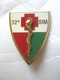 INSIGNE SANTE 32° SIM Section D’Infirmiers Militaires Y.DELSART - Services Médicaux